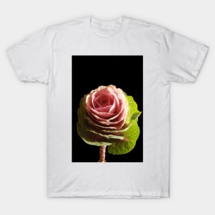 Pink Cabbage T-Shirt